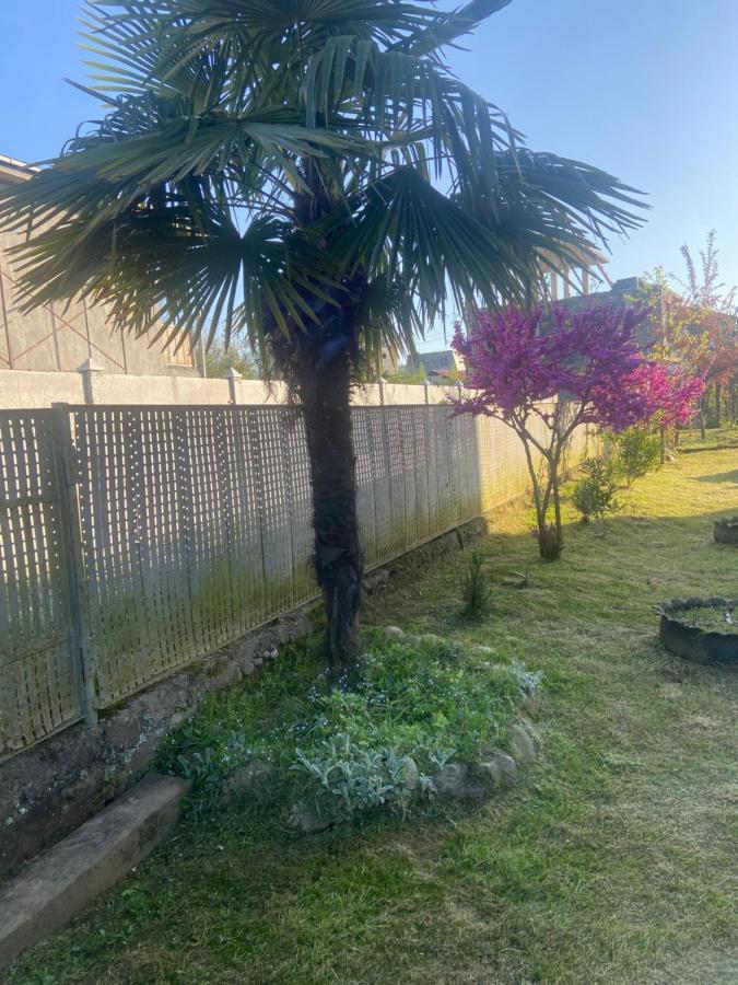 Luka Family Guest House Batumi Luaran gambar
